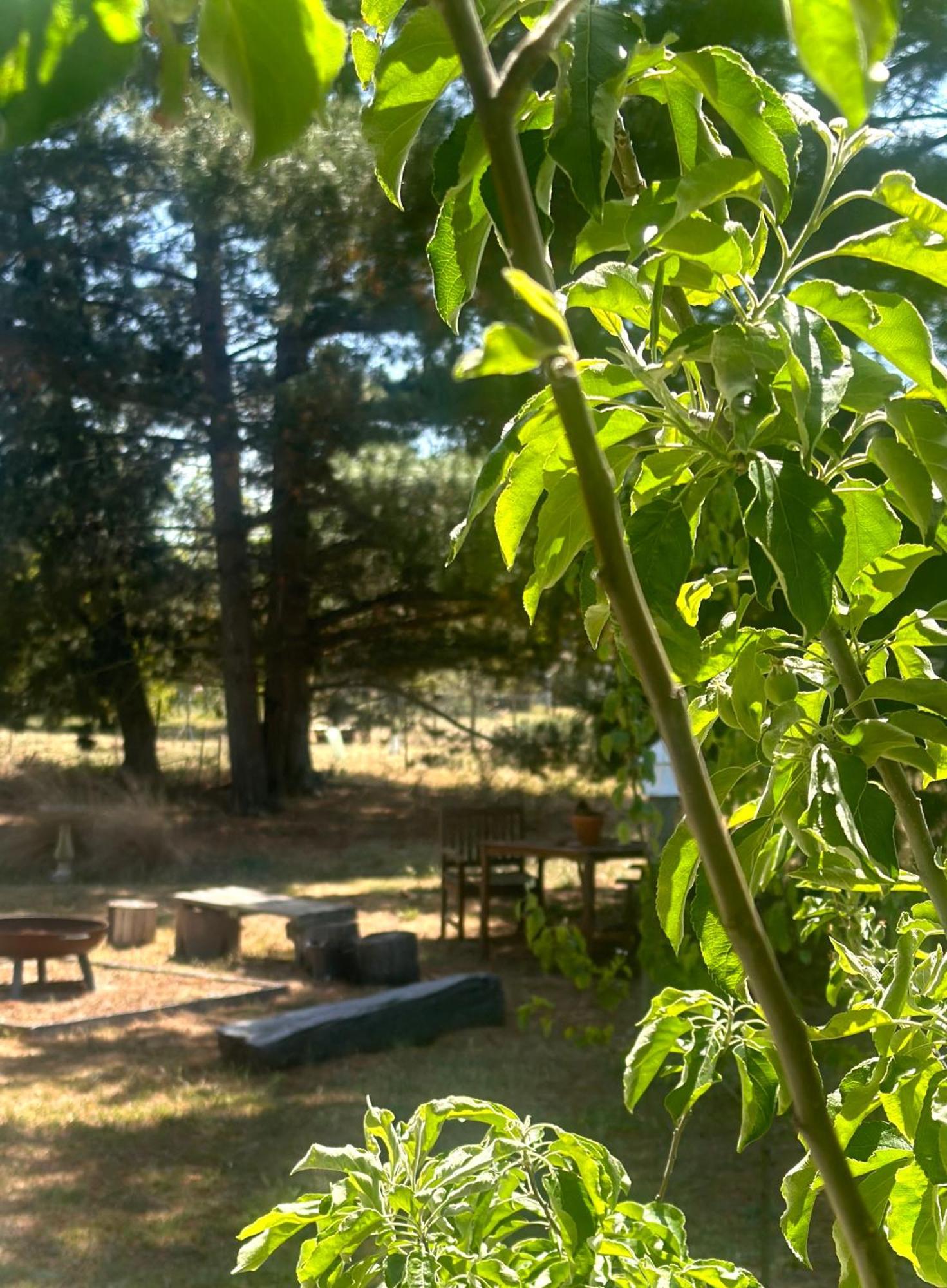 White Croft Cottage Ross Εξωτερικό φωτογραφία