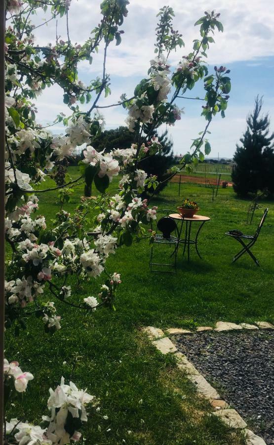 White Croft Cottage Ross Εξωτερικό φωτογραφία